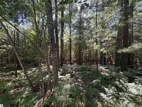 4715 Springbrook Dr, Williamsburg, MI 49690 photo 20