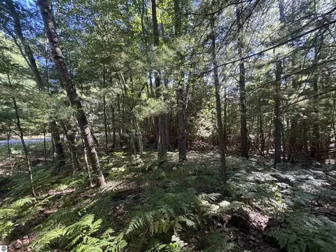4715 Springbrook Dr, Williamsburg, MI 49690 photo 19