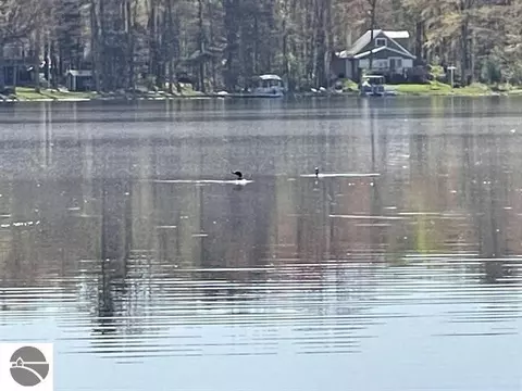 Other - 5644 Loranger Dr, Lake, MI 48632 photo 8 of 8