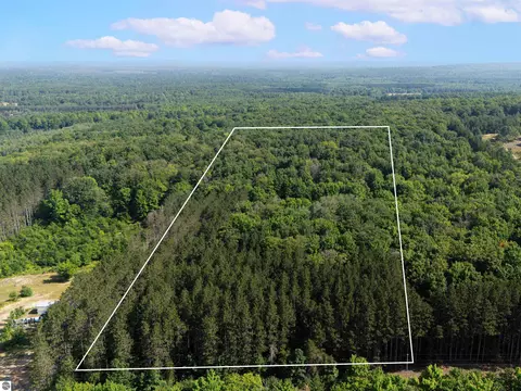 Vl W Phelps Road, Manton, MI 49663