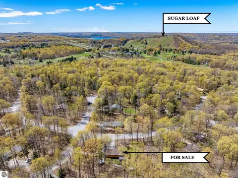 View/Area - 2558 E Sugar Maple, Cedar, MI 49621 photo 1 of 4