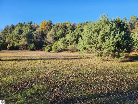 Vl 9 Mile Road, Kaleva, MI 49645