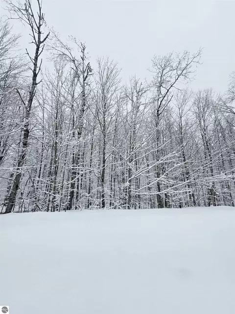 394 Pinedale Dr, Elmira, MI 49730