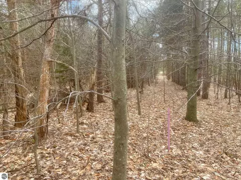 Honor Highway, Interlochen, MI 49643 photo 5
