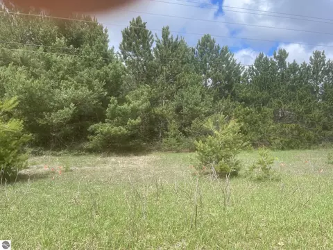 Honor Highway, Interlochen, MI 49643 photo 3