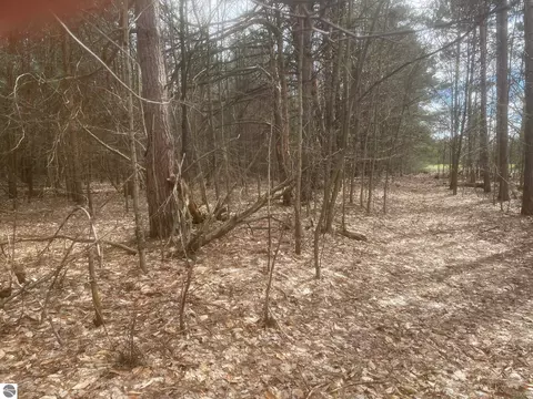 Honor Highway, Interlochen, MI 49643 photo 7
