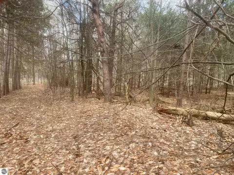 Honor Highway, Interlochen, MI 49643 photo 6