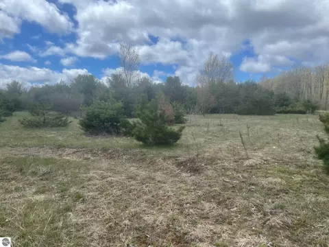 Honor Highway, Interlochen, MI 49643 photo 6