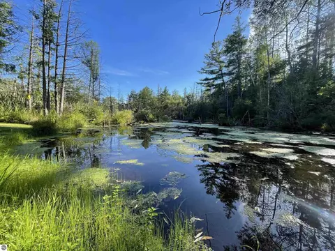 210 Spring St, Kingsley, MI 49649