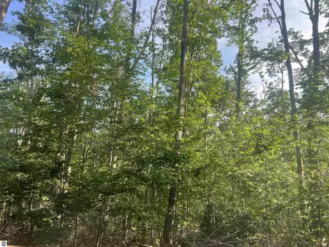 lot388 Wyndwood Dr, Mancelona, MI 49659