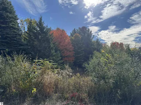1 6 Acres January Dr, Traverse City, MI 49684
