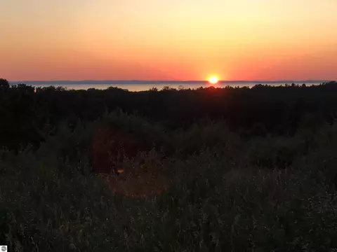 tbd Farrell Rd, Central Lake, MI 49622