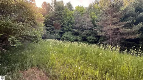 tbd Rushton Rd, Ellsworth, MI 49729 photo 11