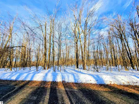 lot45 Terreton Cir, Elmira, MI 49730