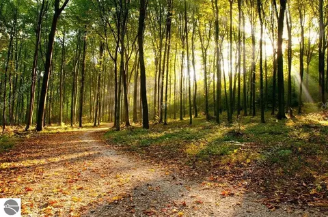 5408 W Fawn Ter, Farwell, MI 48622