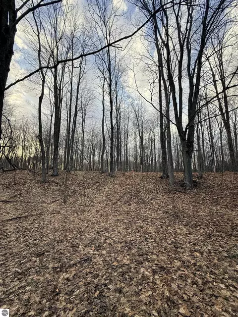 1208 S Ridge Ct, Traverse City, MI 49696