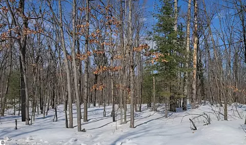 lot297 Nottingham Dr, Frederic, MI 49733