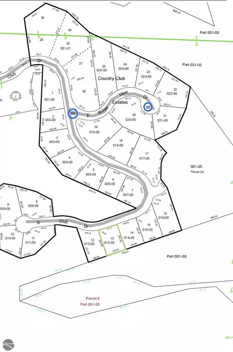 lot13 S Club Dr, Cedar, MI 49621
