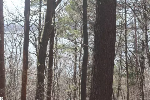lot5 Crystal View Cmns, Beulah, MI 49617