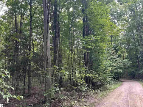 000 Langs Ln, Interlochen, MI 49643 photo 3