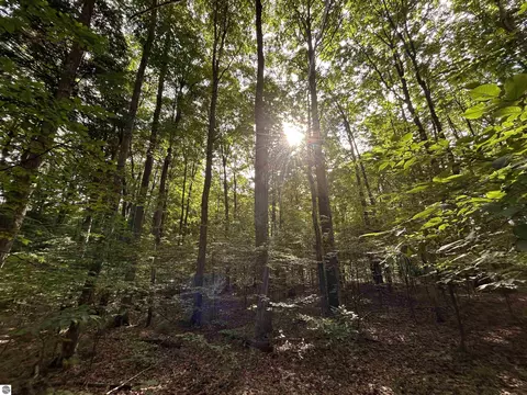 000 Langs Ln, Interlochen, MI 49643