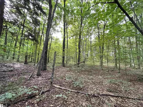 000 Langs Ln, Interlochen, MI 49643 photo 2