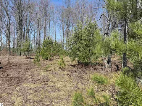 00 Landis Rd, Thompsonville, MI 49683