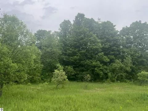 00 Wood Rd NE, Kalkaska, MI 49646