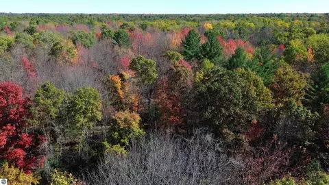 0 Timber Trl, Prescott, MI 48756