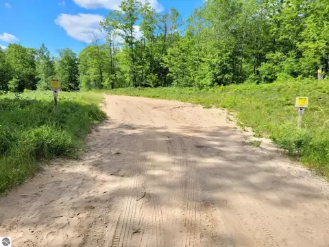 5955 S Brown Rd, Cadillac, MI 49601