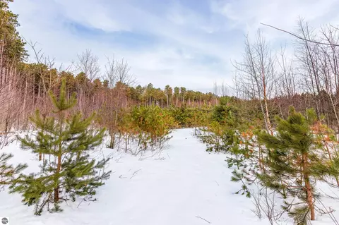 3219 Nugent Rd, Frankfort, MI 49635