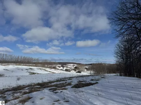 E John Michael Drive, Suttons Bay, MI 49682