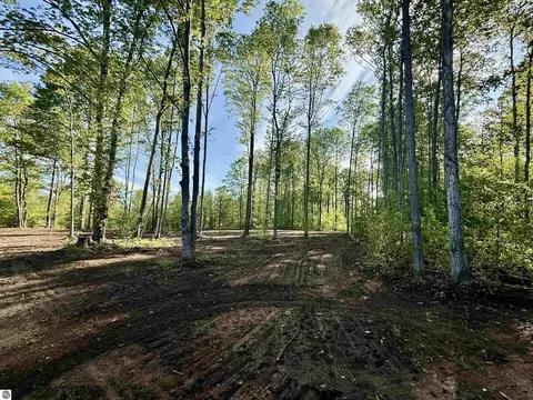 1155 E Solaris Way, Maple City, MI 49664