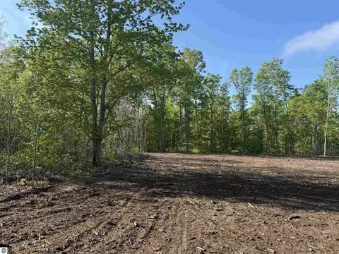 1060 E Solaris Way, Maple City, MI 49664