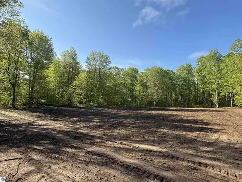 1128 E Solaris Way, Maple City, MI 49664