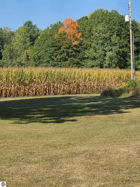Exterior - 562 Lagrant Rd, Twining, MI 48766 photo 5 of 12