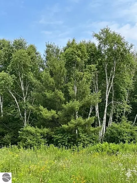 Other - 562 Lagrant Rd, Twining, MI 48766 photo 20 of 21