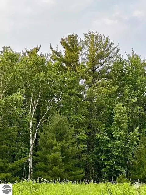 Other - 562 Lagrant Rd, Twining, MI 48766 photo 19 of 21