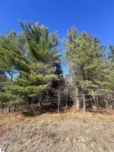 0000 E North Down River Rd, Grayling, MI 49738 photo 2
