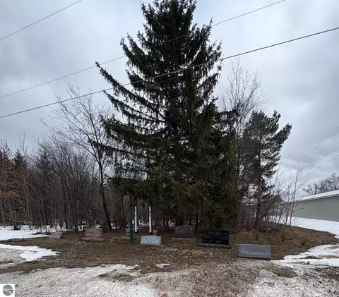 00 Cedar River Rd, Mancelona, MI 49659