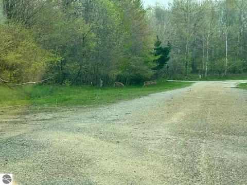 7 Fairway Ct, Grayling, MI 49738 photo 3