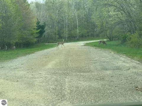 6 Fairway Ct, Grayling, MI 49738 photo 5