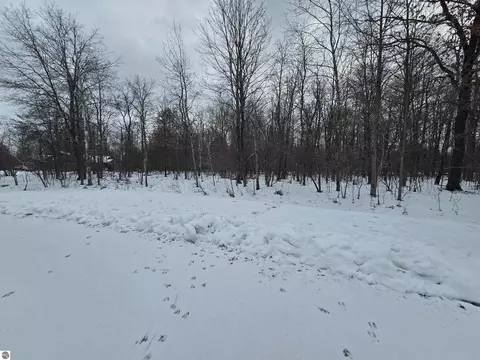 6 Fairway Ct, Grayling, MI 49738 photo 19