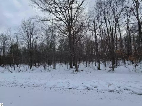 6 Fairway Ct, Grayling, MI 49738 photo 18