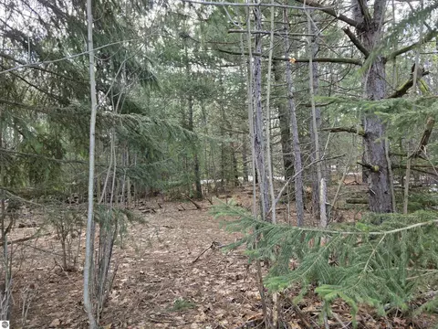 0001 Cedar River Rd, Mancelona, MI 49659