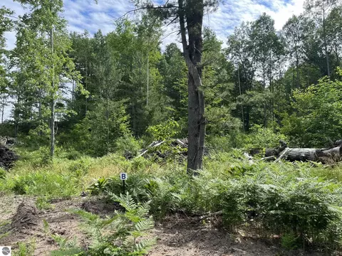 Parcel B Hoosier Flats Road, Traverse City, MI 49685