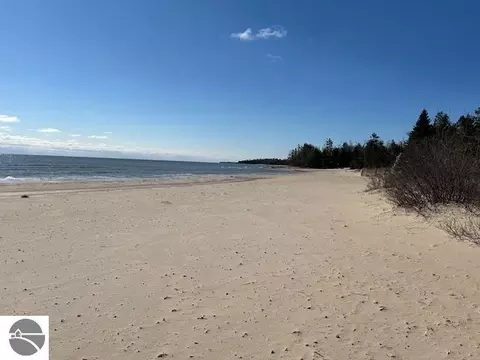 4546 N Lakeshore Dr, Black River, MI 48721