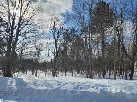 V/l Belmont Drive, Mancelona, MI 49659