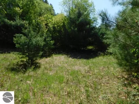 N Wheeler Lake Road, Kalkaska, MI 49646