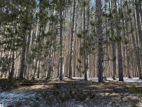 N Wheeler Lake Road, Kalkaska, MI 49646
